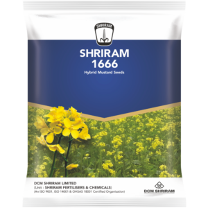 Shriram 1666